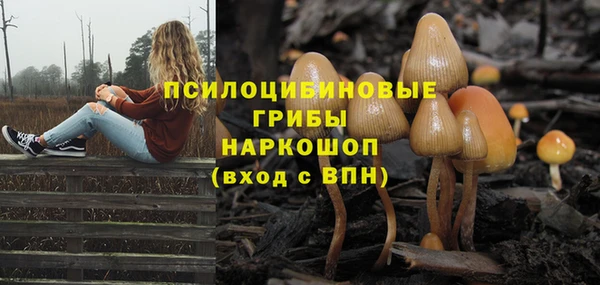 ГАЛЛЮЦИНОГЕННЫЕ ГРИБЫ Верхний Тагил
