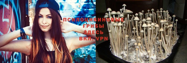 2c-b Верхнеуральск