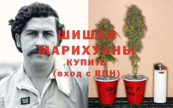ГАЛЛЮЦИНОГЕННЫЕ ГРИБЫ Верхний Тагил