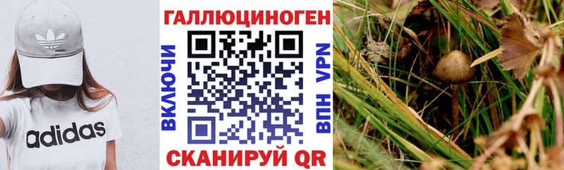 Псилоцибиновые грибы мухоморы  Новая Усмань 